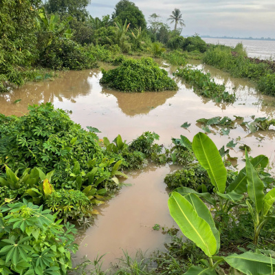 Vov - Viêt Nam Va Thê Gii