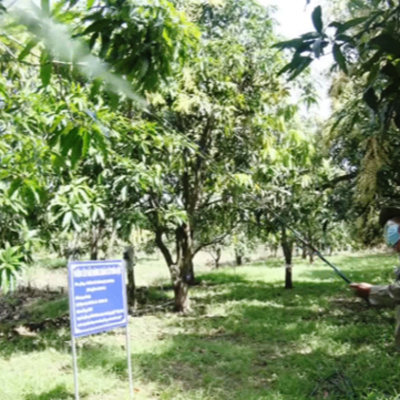 Vov - Viêt Nam Va Thê Gii