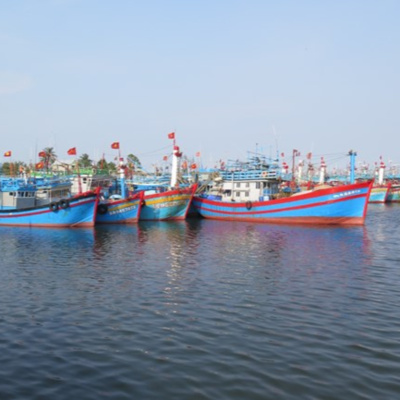 Vov - Viêt Nam Va Thê Gii