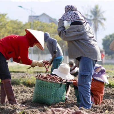 Vov - Viêt Nam Va Thê Gii