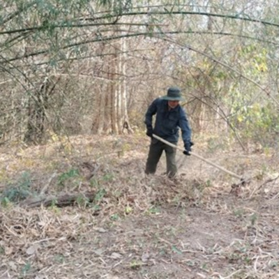 Vov - Viêt Nam Va Thê Gii