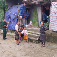 Pháp luật đời sống - Tuyên Quang: Phòng, chống tái trồng cây thuốc phiện tại các xã vùng biên.