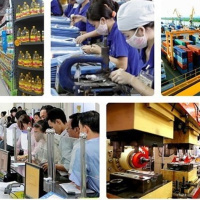 5 năm thực hiện Nghị quyết của chính phủ (17/1/2019)