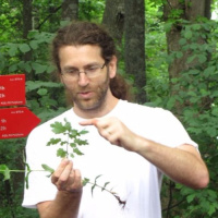 Znanost zdravilnih rastlin (Samo Kreft)