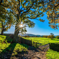Kemik, ki je nahranil človeštvo in iznašel kemično orožje