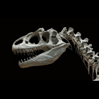 Vzpon in padec dinozavrov