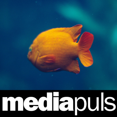 Mediapuls - Din Puls På Digitale Og Sosiale Medier.