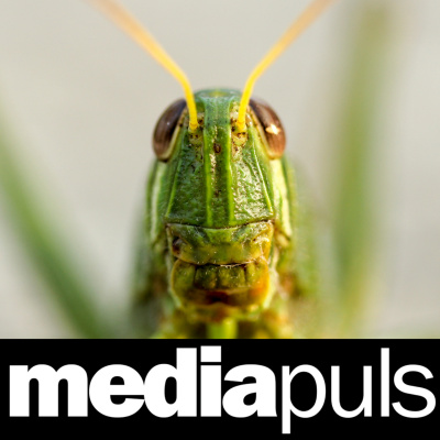 Mediapuls - Din Puls På Digitale Og Sosiale Medier.