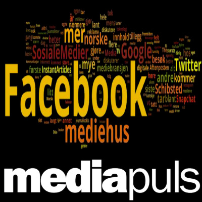 Mediapuls - Din Puls På Digitale Og Sosiale Medier.