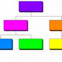 Hvordan går du frem for å organisere bedriften i praksis?