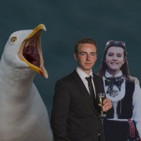 Mågeprat #5: På tur i Kristiansands gater