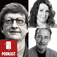 Novelle. Sjangerlære med Gunnhild Øyehaug, Hans Herbjørnsrud og Hans H. Skei