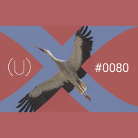 (U)080 – Storken og det store bevissthetsskiftet