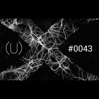 (U)043 – Innsikt