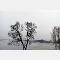 Atbūda - piektais gadalaiks Dvietes palienās Latvijā