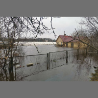 Klimata pārmaiņas: ziemas plūdi Latvijā, izmaiņas putnu ziemošanas paradumos