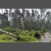 Vai dabas un vides aizsardzībai ir efektīvas sabiedriskās attiecības?
