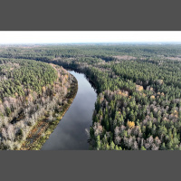 Pārāk silts ūdens un upju aizaugšana: klimata pārmaiņas ietekmē lašu nārstu Latvijas upēs