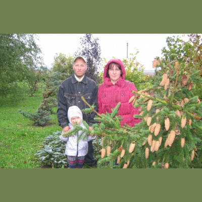 Latvijas Ststi Latvijas Simtgadei