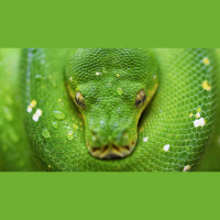 Søndagsteksten 1 Mos 3:8-15 (2018)