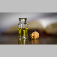 Søndagsteksten Luk 4:16-22a (2017)