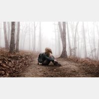 Søndagsteksten Matt 11:28-30 (2017)