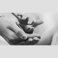 Søndagsteksten Ef 2:1-10 (2017)