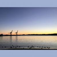 Hva er det fineste med å bo i Larvik?