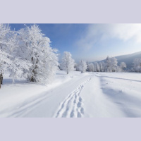 Sniegota rīta podkāsts