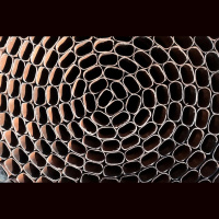 Ikdienas analīzes un ovālās formas