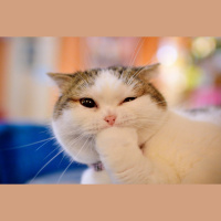 Pavisam attālināti!