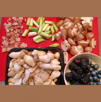 5. epizode: pilzen und beeren
