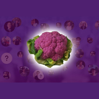 Statistiskie tautieši – 100 stāsti par cilvēku parasto. 2. sērija. Stereotipi