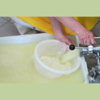 Godam nes Latvijas vārdu: Latvijas siers