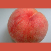 Godam nes Latvijas vārdu: persiks Latvija