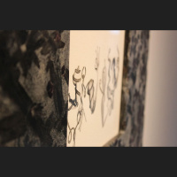 Sabīne Vernere izstādē pēta sengrieķu mitoloģiju no mūsdienu sievietes skatupunkta