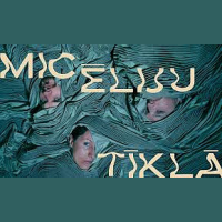 Savienot mikoloģiju un laikmetīgo deju aicina jauna izrāde Micēliju tīklā