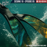 lite fisk – stor premie