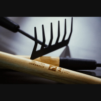 Kas tas par zvēru - partija?