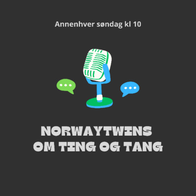 Norwaytwins Om Ting Og Tang