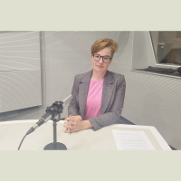 Rail Baltica sliežu ceļa izbūvei līdzekļus meklēs privātajā un publiskajā partnerībā