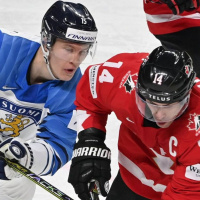 192: Az északiak nem honosítanak