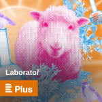 Laborato?