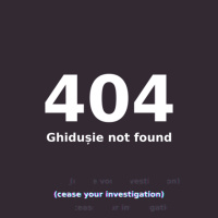 #404 Nul Găsesc