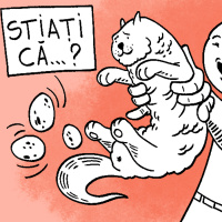 #389 Epilog All Vorbe 1