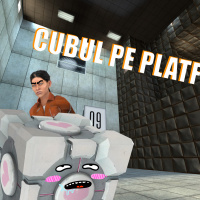 #9 Cubul pe Platformă