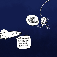 #385 Optimizarea Eficientizării