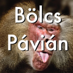 Bölcs Pávián Podcast