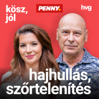 Kösz, jól: Kell aggódnom, ha hullik a hajam?