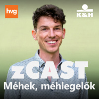 zCast: A méhek védelme ott kezdődik, hogy megváltoztatjuk a szépről alkotott fogalmunkat